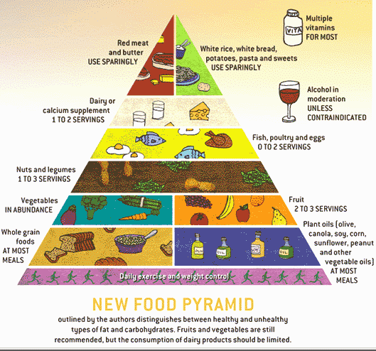 Articel on the new pyramid